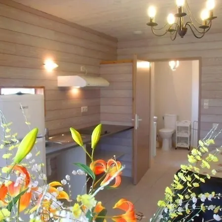 La Vigneraie * Damazan